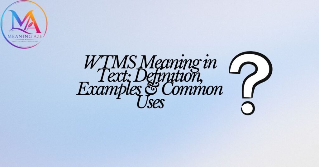WTMS Meaning in Text: Definition, Examples & Common Uses
